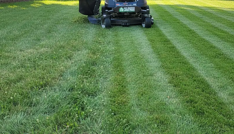 Before and after lawn mowing transformation by Chop Chop Landscaping in Des Moines, Iowa